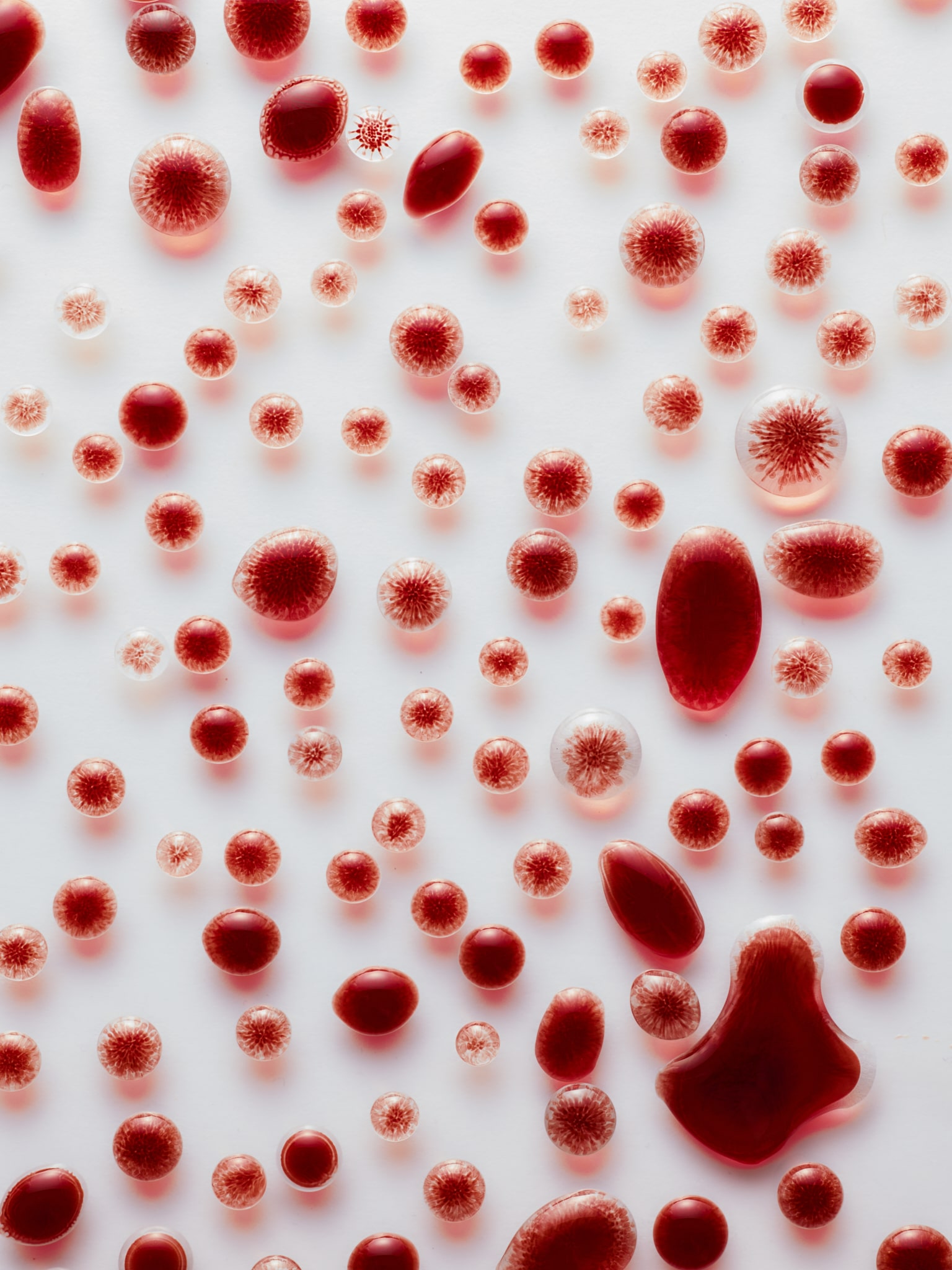 Des formes gélatineuses rouges et transparentes de différentes tailles sont dispersées sur une surface blanche, ressemblant à des cellules ou des gouttelettes abstraites. Certaines ont des motifs complexes à l'intérieur, ce qui ajoute de la texture et de l'intérêt visuel.